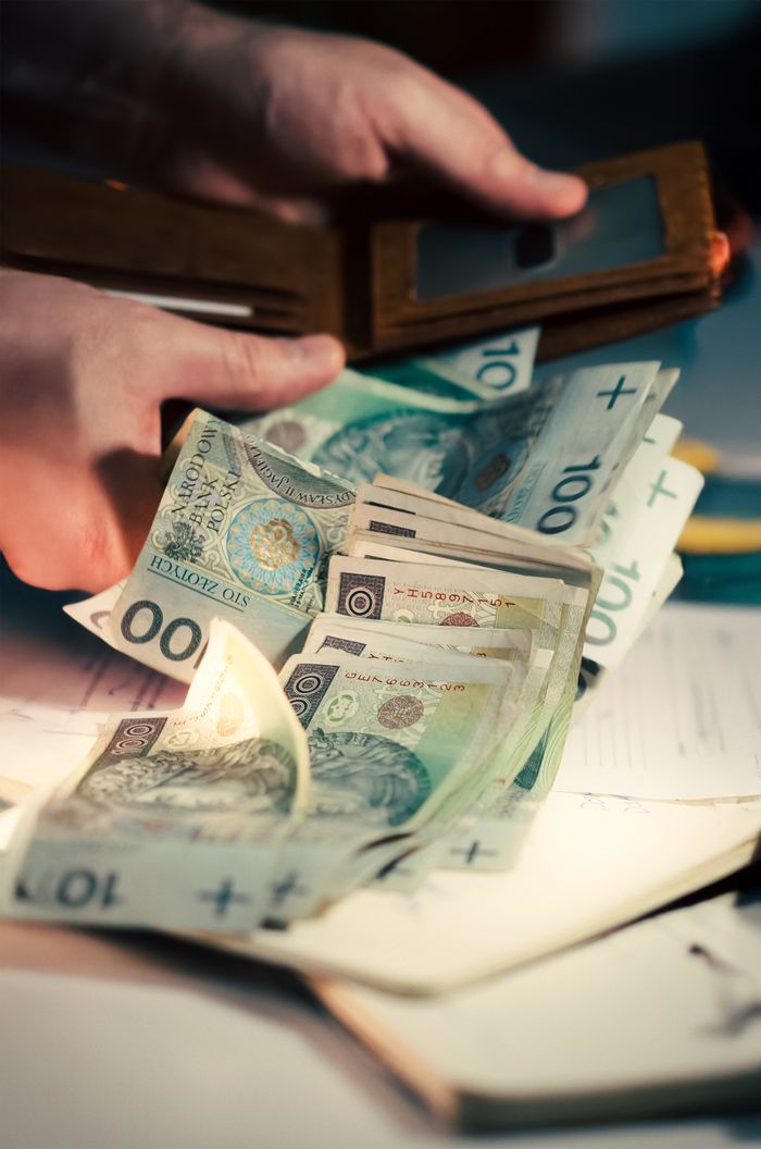 services-04 Person counting Polish Zloty banknotes taken from a wallet, symbolizing finance and business.